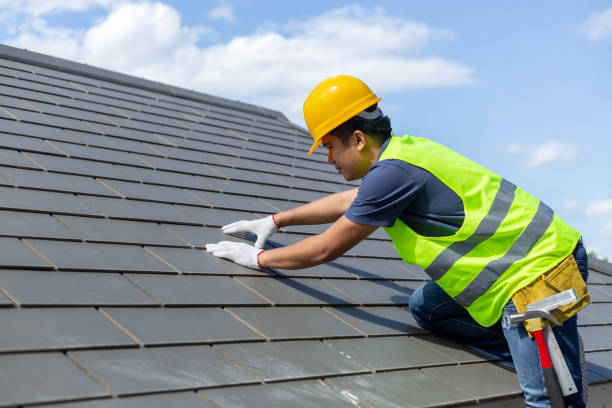 Best Local Roofing Companies  in Ovid, MI
