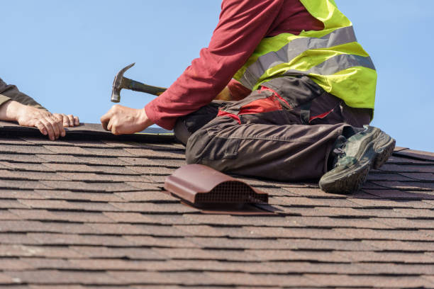 Best Best Roofing Contractors  in Ovid, MI