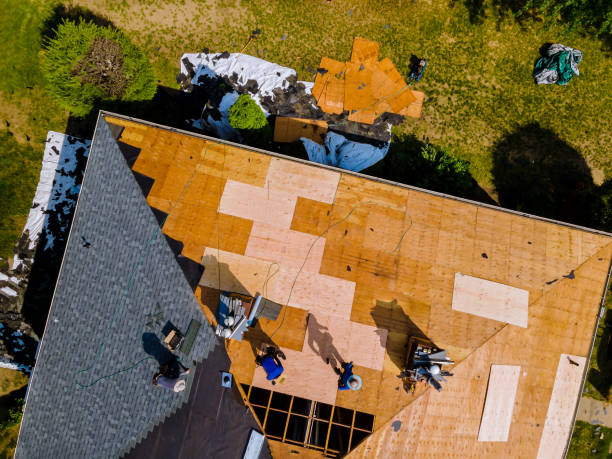 Professional Roofing Contractor in Ovid, MI