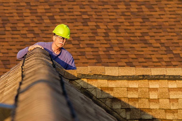 Best New Roof Installation  in Ovid, MI