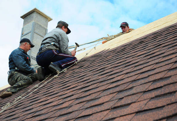 Best Shingle Roofing Installation  in Ovid, MI