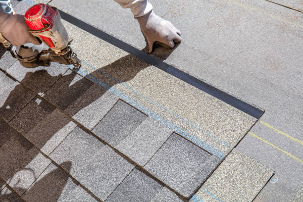 Best Emergency Roof Repair  in Ovid, MI