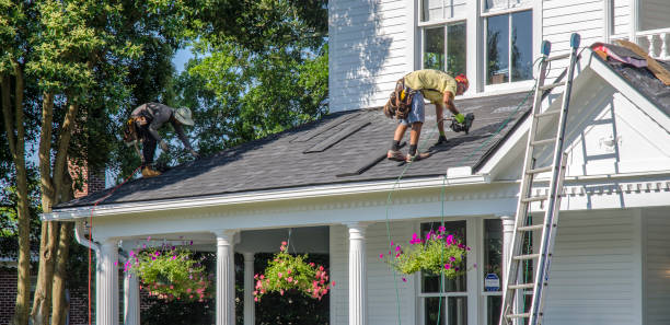 Best Gutter Installation and Roofing  in Ovid, MI
