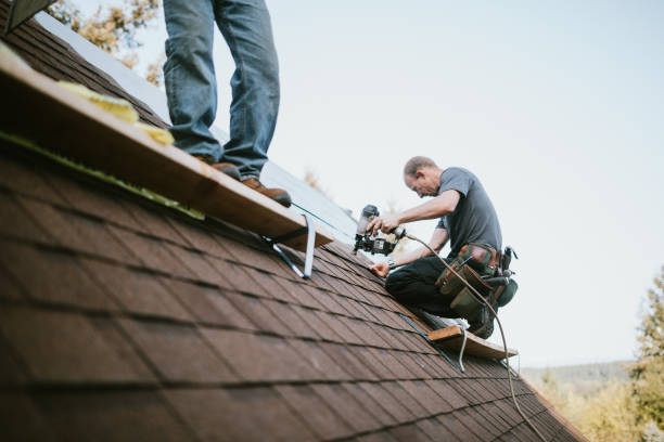 Best Residential Roofing Contractor  in Ovid, MI