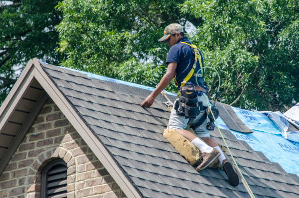 Best Storm Damage Roof Repair  in Ovid, MI