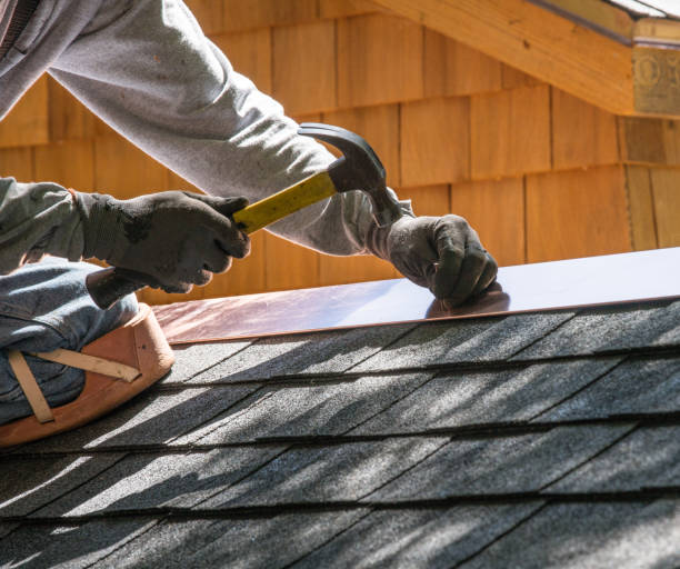 Best Roof Maintenance Services  in Ovid, MI